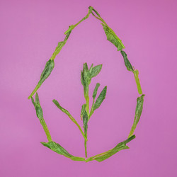 Similar image 22330786