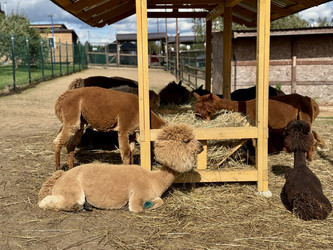 Similar image 22292322