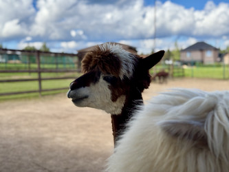 Similar image 22292323