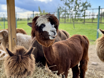 Similar image 22292324