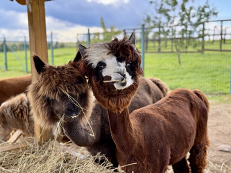 Similar image 22292325