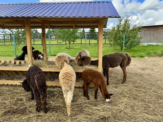 Similar image 22292327