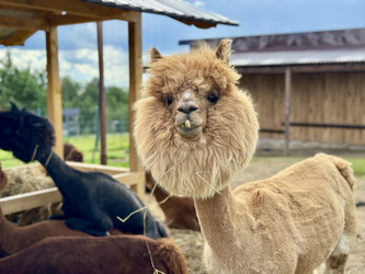 Similar image 22292328