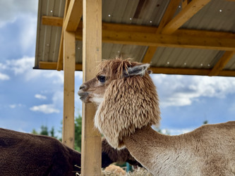 Similar image 22292329