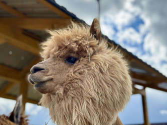 Similar image 22292330