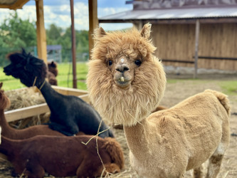 Similar image 22292332