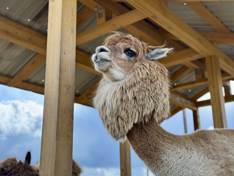 Similar image 22292333