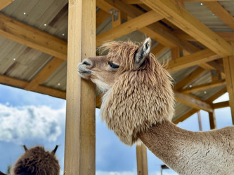 Similar image 22292335