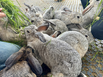 Similar image 22292336