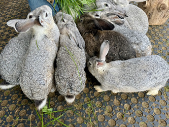 Similar image 22292338