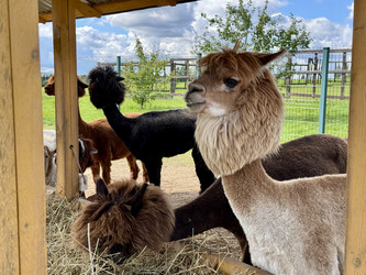 Similar image 22292343