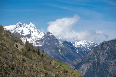 Similar image 22298944