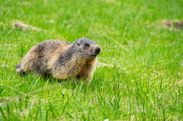 Similar image 22298947