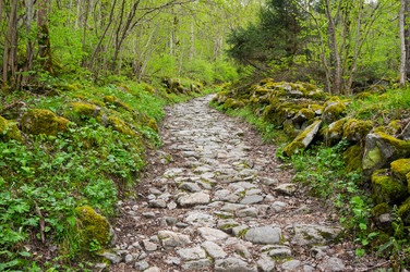 Similar image 22298948