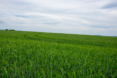 Similar image 22299119