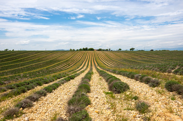 Similar image 22299120