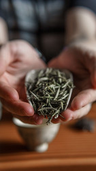 Similar image 22328095