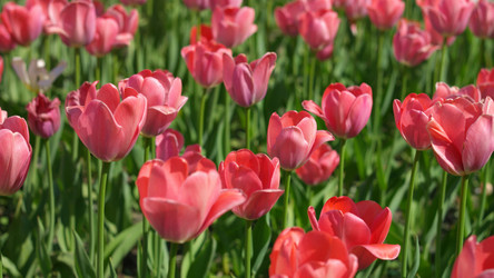 Similar image 22292756