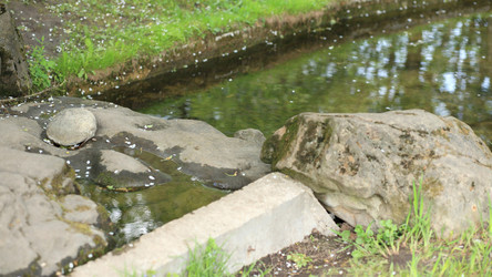 Similar image 22292764