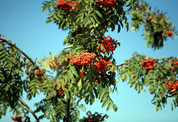 Similar image 22292768