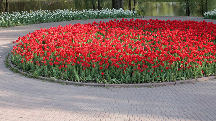 Similar image 22292778