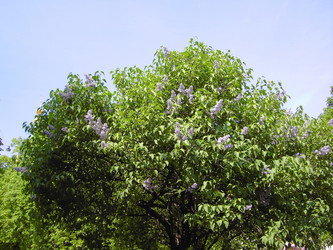 Similar image 22292781