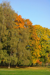 Similar image 22292782