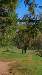 Similar image 22292880