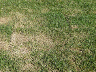 Similar image 22292882