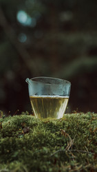 Similar image 22296599