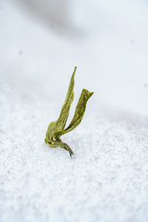 Similar image 22315877