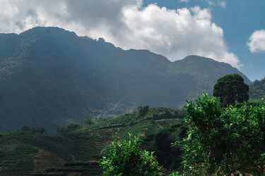 Similar image 22325928