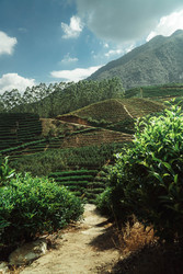 Similar image 22325931