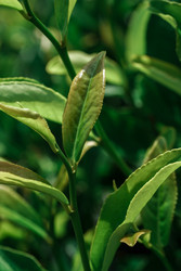 Similar image 22326365