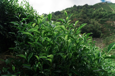 Similar image 22328835