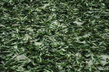 Similar image 22328836