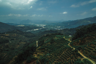 Similar image 22328838