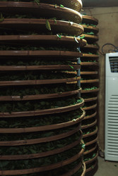 Similar image 22329179