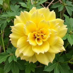 Similar image 22317835