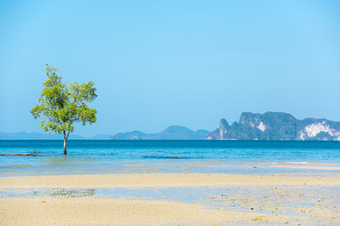 Similar image 22299354