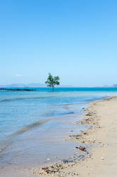 Similar image 22299485