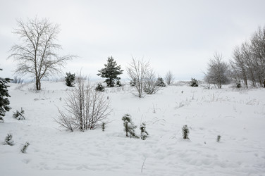 Similar image 22299487