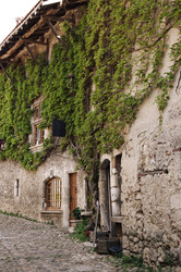 Similar image 22299490