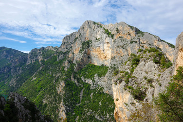 Similar image 22299495