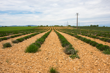 Similar image 22299496