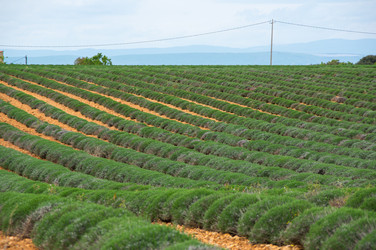 Similar image 22299497