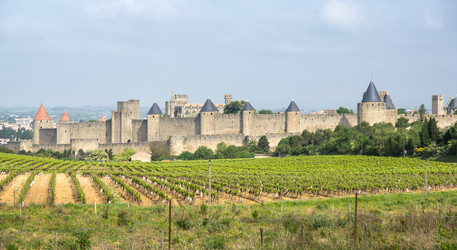 Similar image 22299590