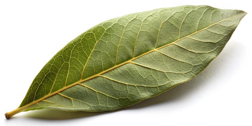 Similar image 22300047