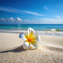 Similar image 22300051