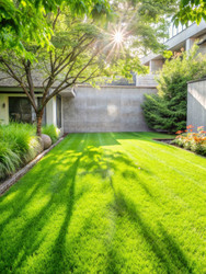 Similar image 22300229